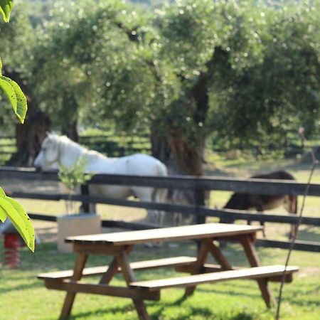 圣佐治欧斯帕贡Honigtal Farmland别墅 外观 照片