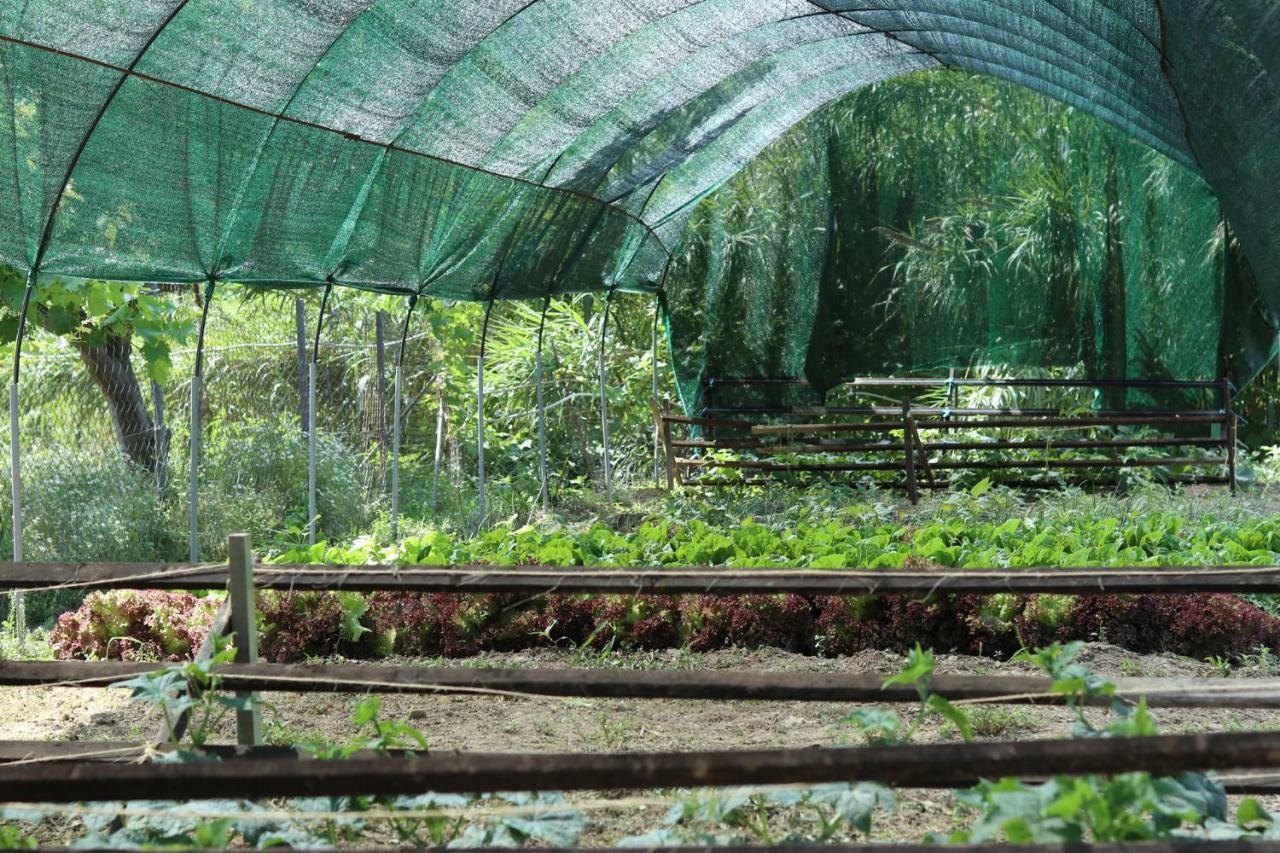 圣佐治欧斯帕贡Honigtal Farmland别墅 外观 照片