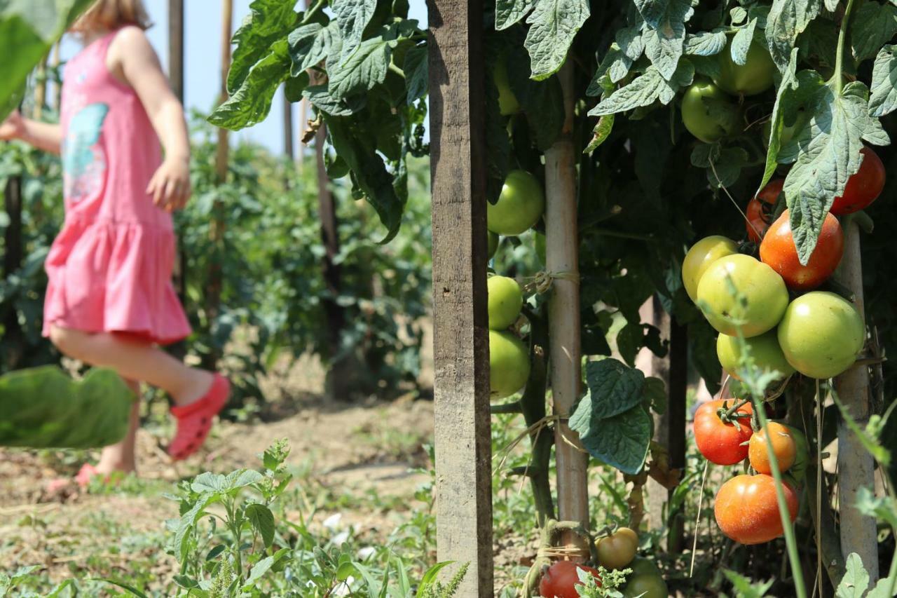 圣佐治欧斯帕贡Honigtal Farmland别墅 外观 照片